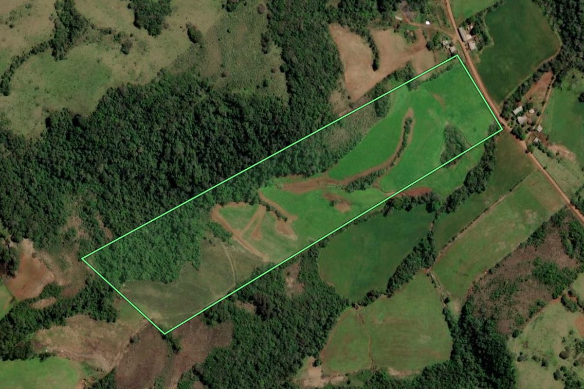 Imagem de satélite do imóvel rural em Trindade do Sul (RS), com o contorno declarado no CAR desenhado por cima.