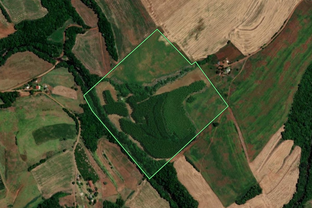 Imagem de satélite do imóvel rural em Trindade do Sul (RS), com o contorno declarado no CAR desenhado por cima.