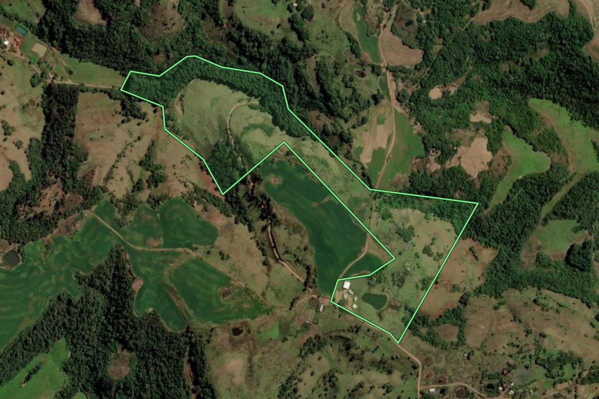 Imagem de satélite do imóvel rural em Trindade do Sul (RS), com o contorno declarado no CAR desenhado por cima.