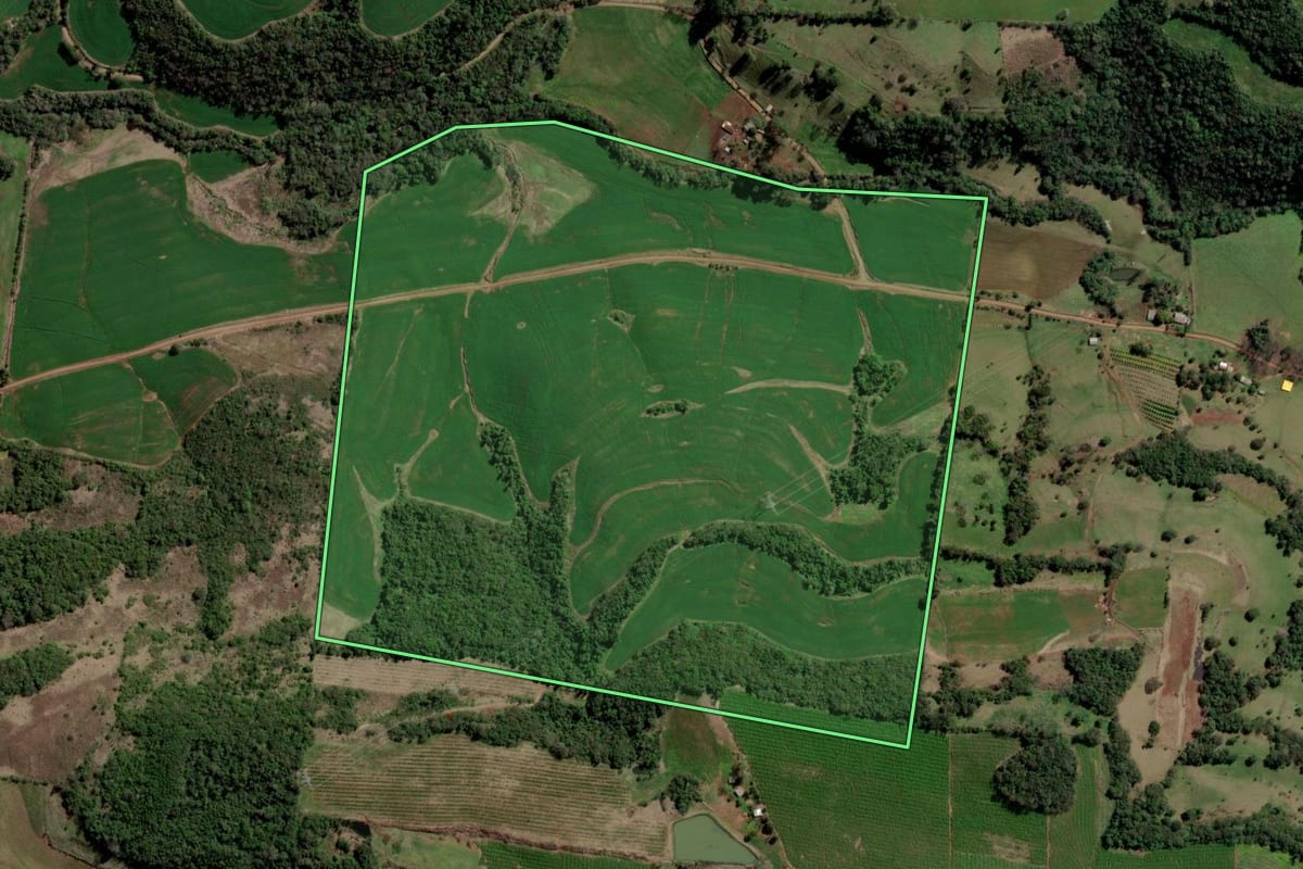 Imagem de satélite do imóvel rural em Trindade do Sul (RS), com o contorno declarado no CAR desenhado por cima.