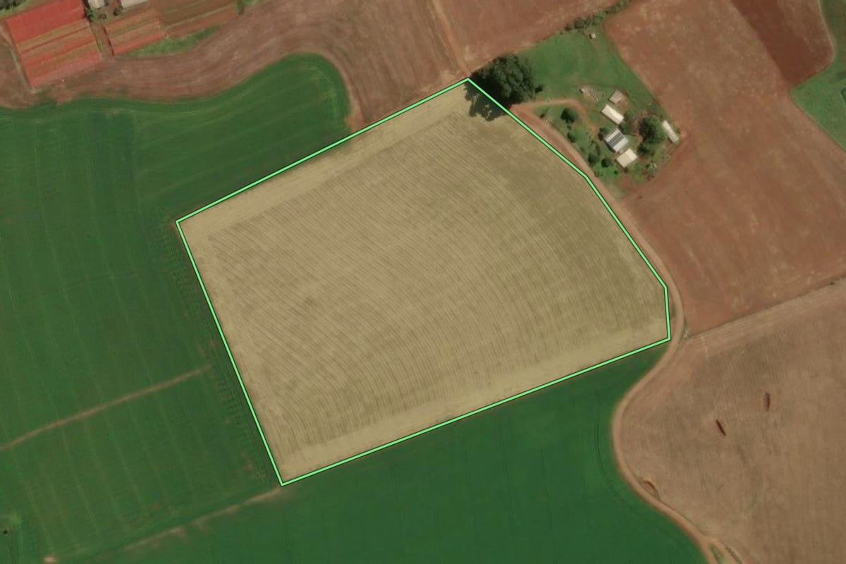 Imagem de satélite do imóvel rural em Trindade do Sul (RS), com o contorno declarado no CAR desenhado por cima.