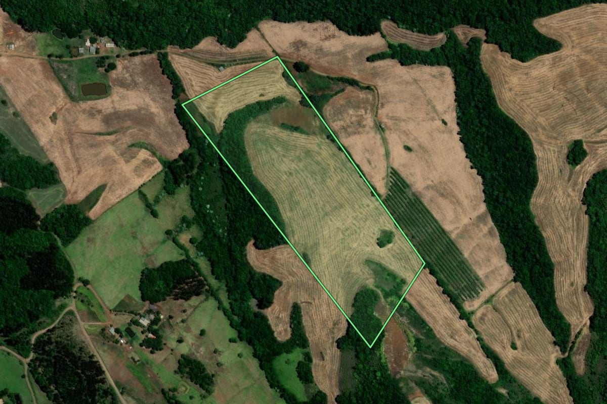 Imagem de satélite do imóvel rural em Trindade do Sul (RS), com o contorno declarado no CAR desenhado por cima.