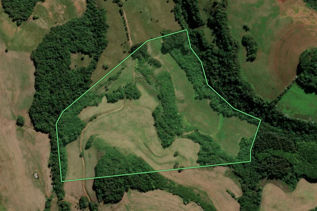 Imagem de satélite do imóvel rural em Trindade do Sul (RS), com o contorno declarado no CAR desenhado por cima.