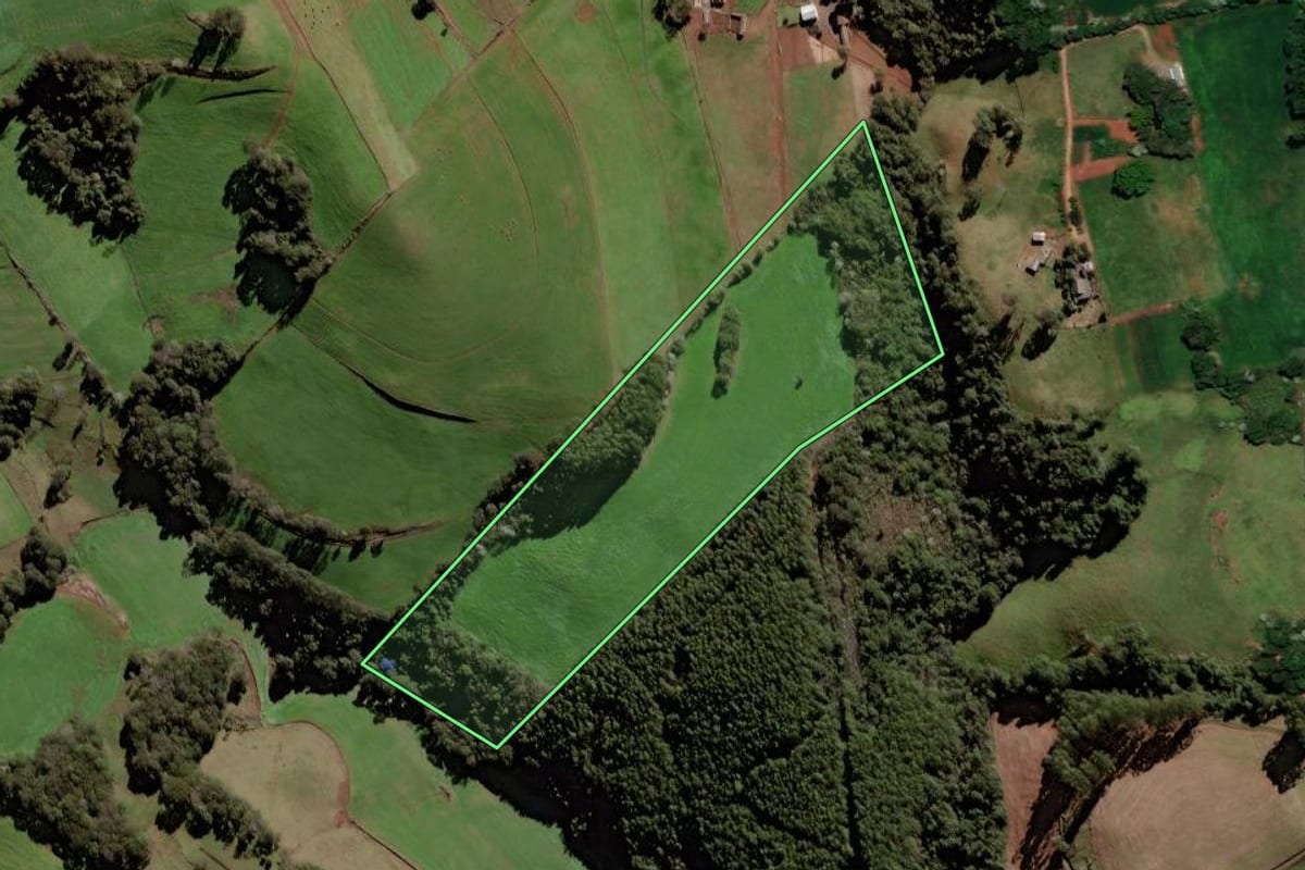 Imagem de satélite do imóvel rural em Trindade do Sul (RS), com o contorno declarado no CAR desenhado por cima.