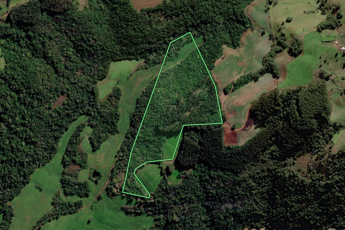 Imagem de satélite do imóvel rural em Trindade do Sul (RS), com o contorno declarado no CAR desenhado por cima.