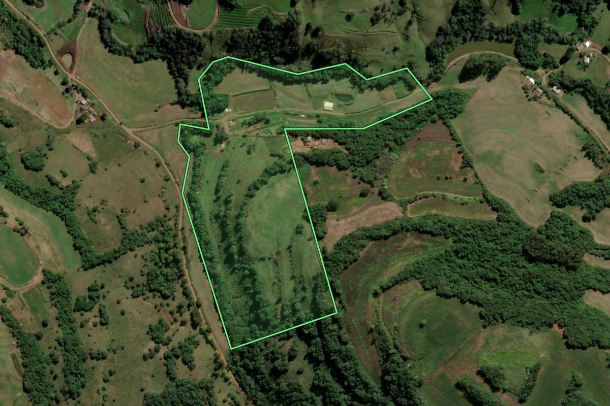 Imagem de satélite do imóvel rural em Trindade do Sul (RS), com o contorno declarado no CAR desenhado por cima.