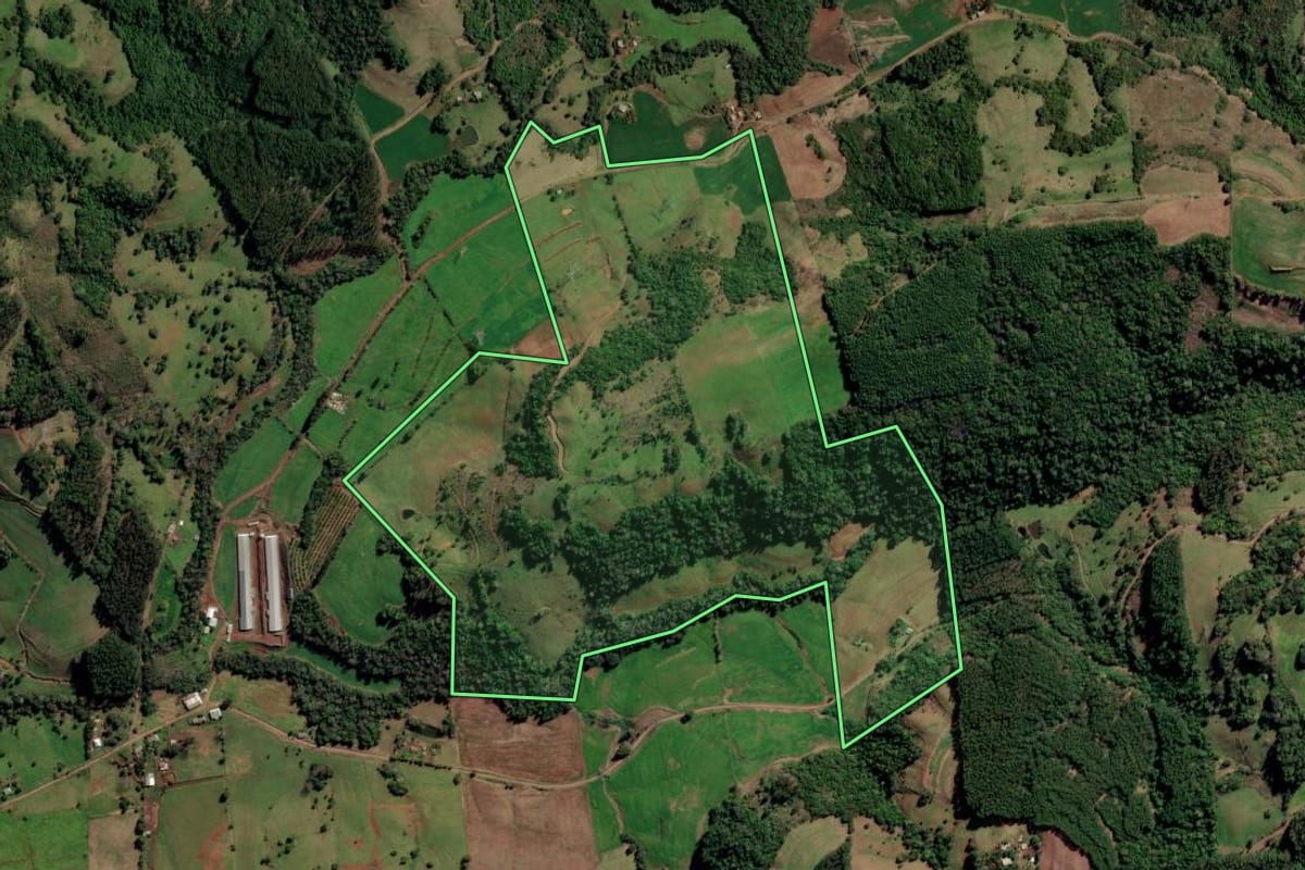 Imagem de satélite do imóvel rural em Trindade do Sul (RS), com o contorno declarado no CAR desenhado por cima.