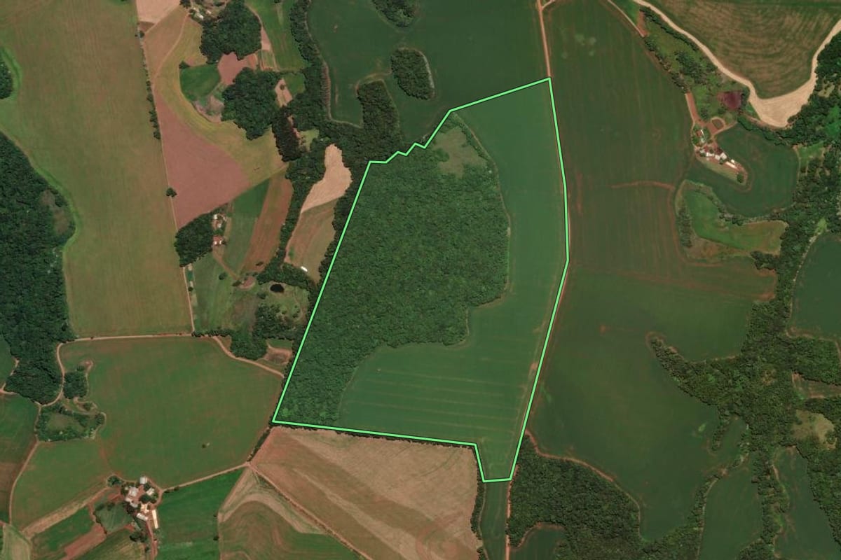 Imagem de satélite do imóvel rural em Trindade do Sul (RS), com o contorno declarado no CAR desenhado por cima.
