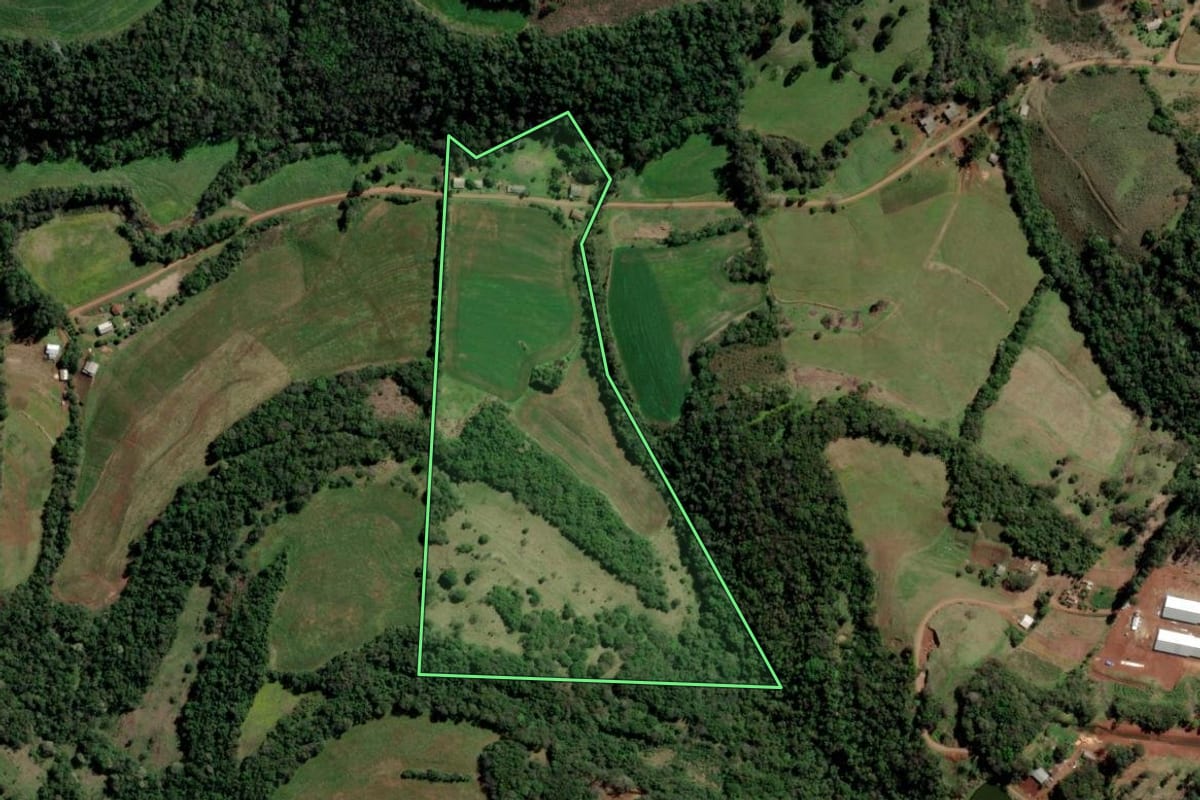 Imagem de satélite do imóvel rural em Trindade do Sul (RS), com o contorno declarado no CAR desenhado por cima.