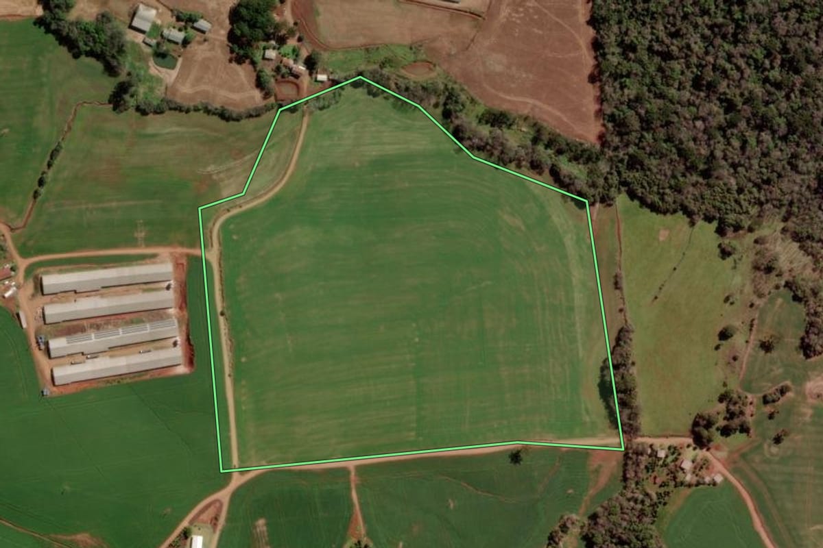 Imagem de satélite do imóvel rural em Trindade do Sul (RS), com o contorno declarado no CAR desenhado por cima.