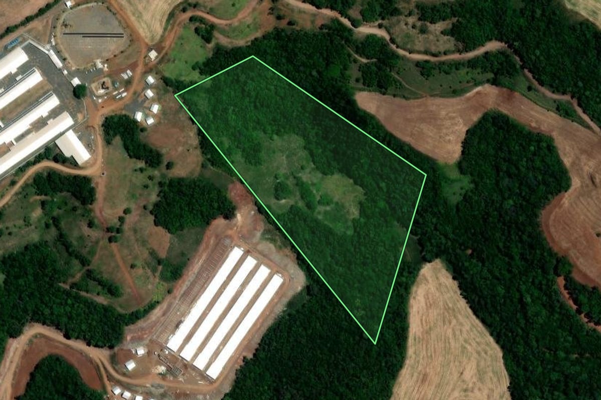 Imagem de satélite do imóvel rural em Trindade do Sul (RS), com o contorno declarado no CAR desenhado por cima.