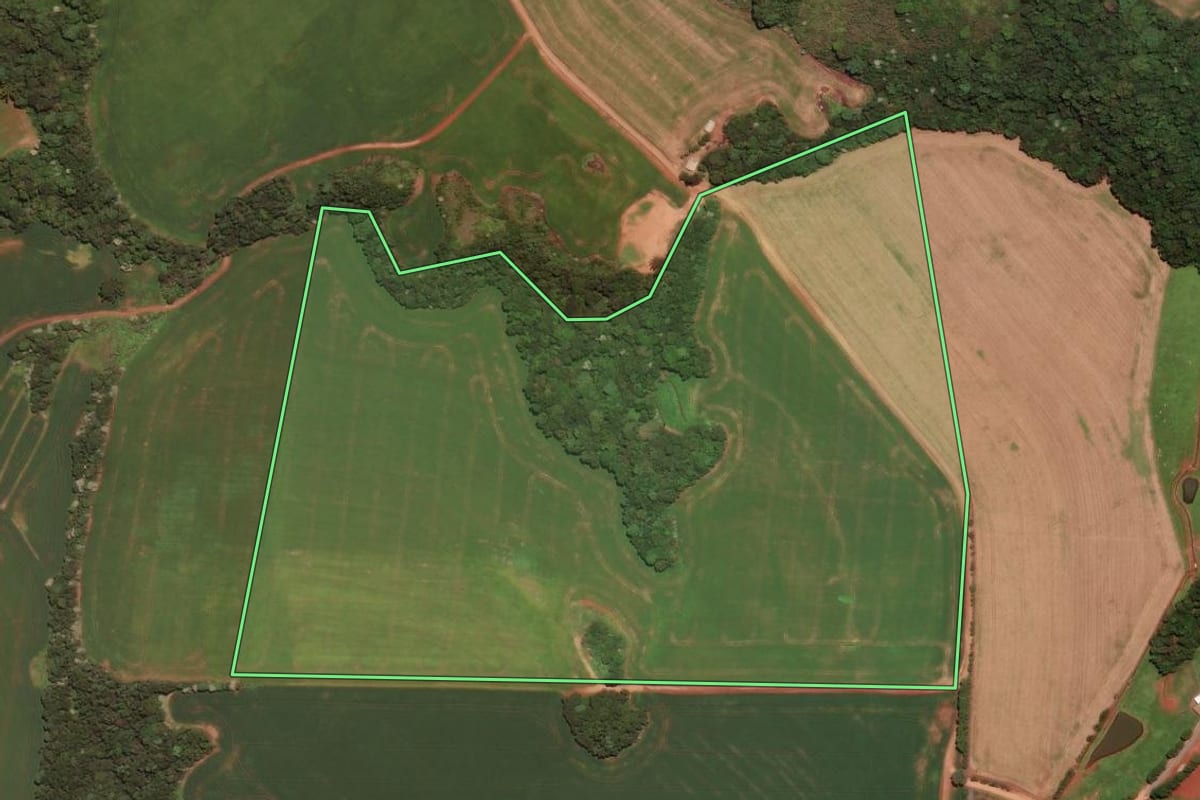 Imagem de satélite do imóvel rural em Trindade do Sul (RS), com o contorno declarado no CAR desenhado por cima.