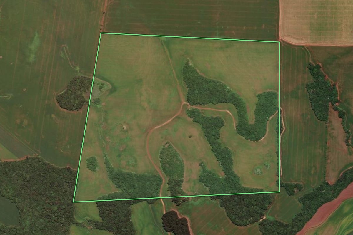 Imagem de satélite do imóvel rural em Trindade do Sul (RS), com o contorno declarado no CAR desenhado por cima.