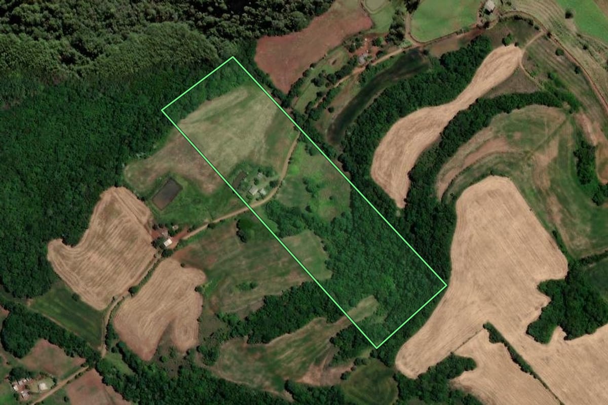Imagem de satélite do imóvel rural em Trindade do Sul (RS), com o contorno declarado no CAR desenhado por cima.