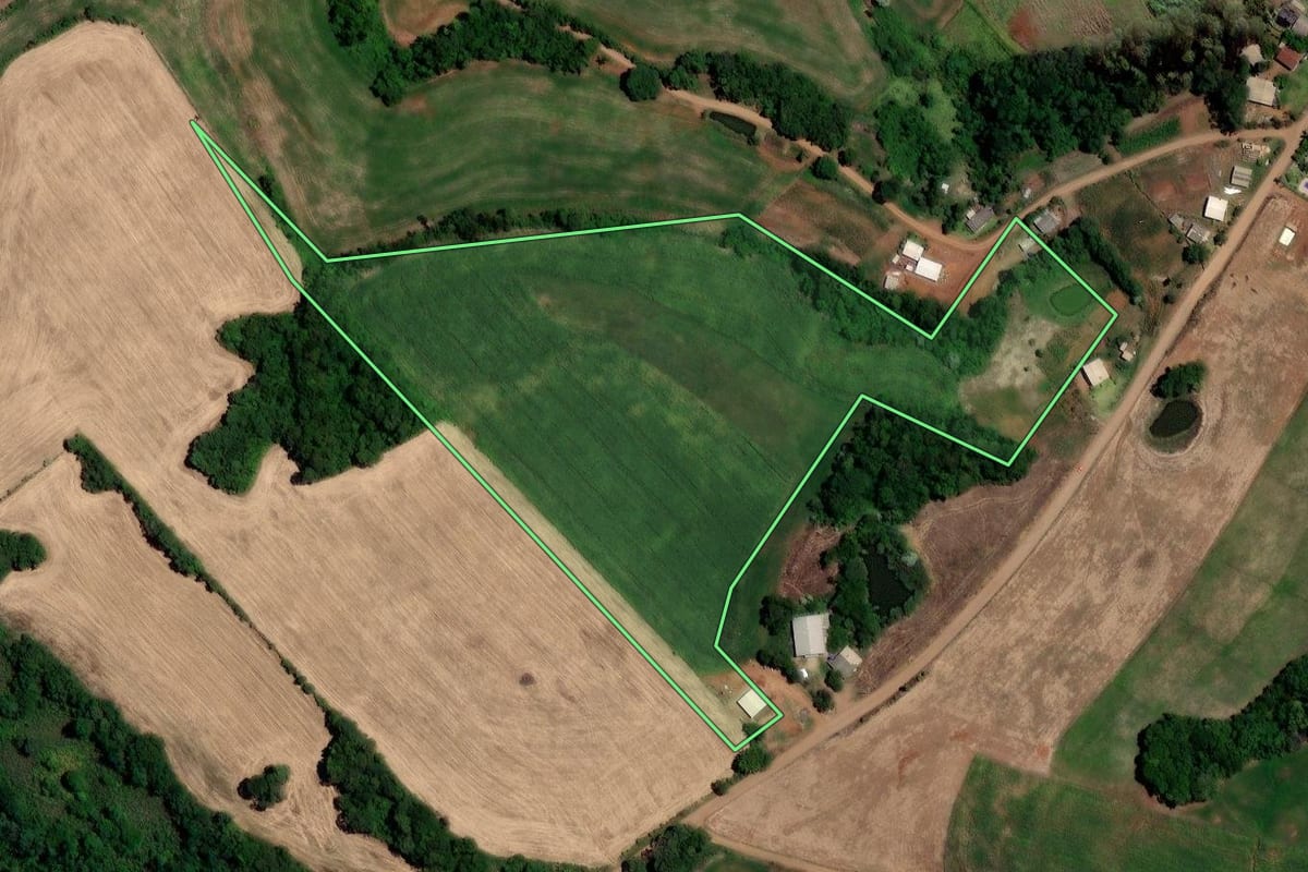 Imagem de satélite do imóvel rural em Trindade do Sul (RS), com o contorno declarado no CAR desenhado por cima.