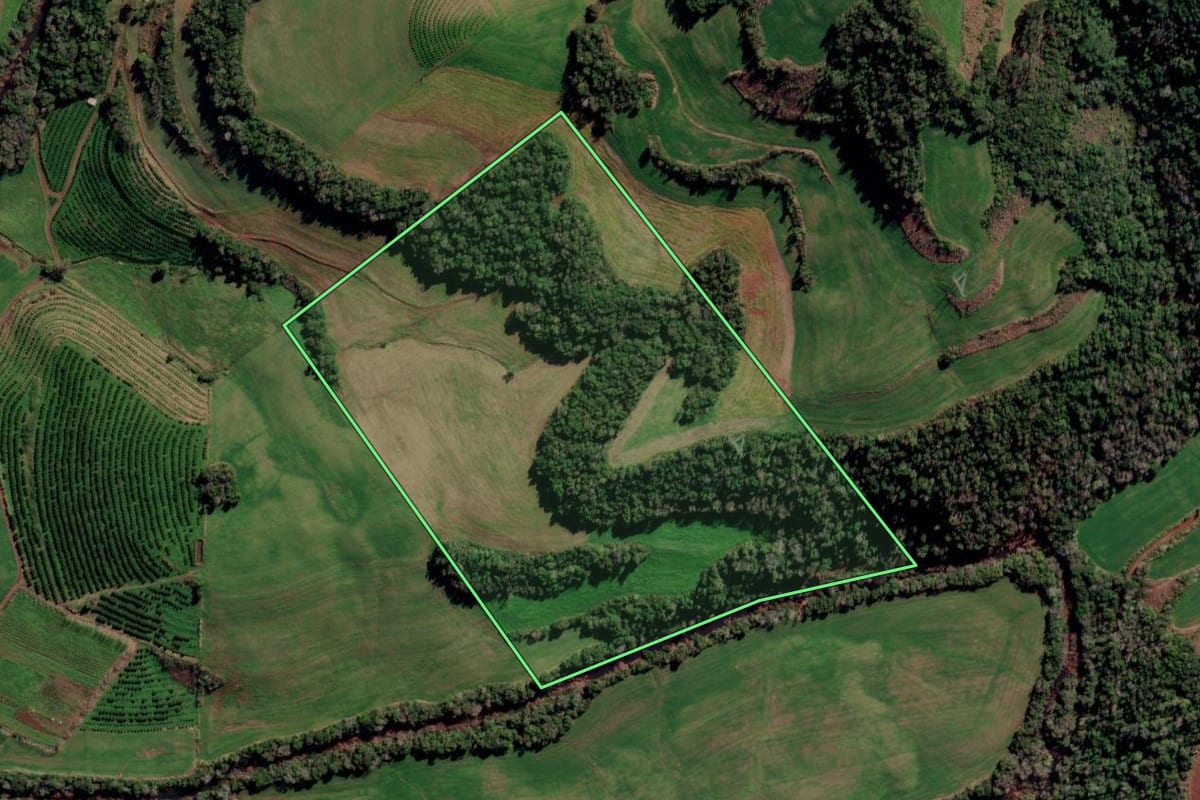 Imagem de satélite do imóvel rural em Trindade do Sul (RS), com o contorno declarado no CAR desenhado por cima.