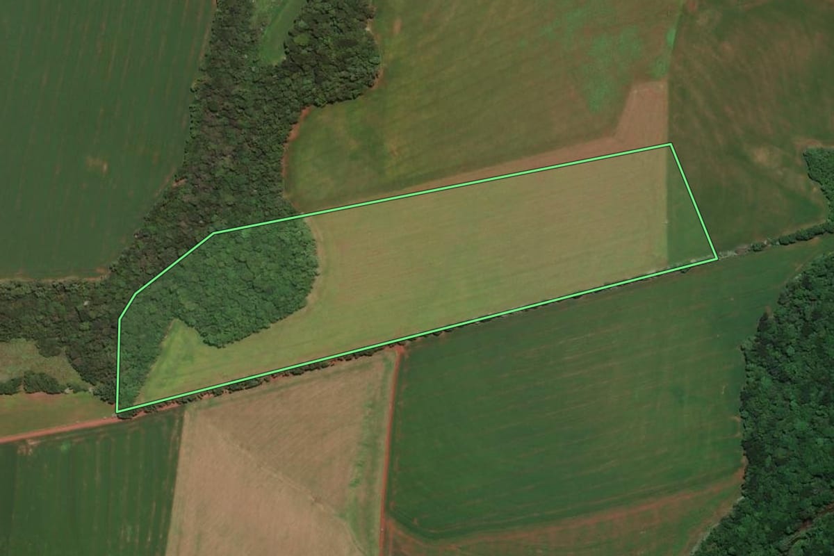Imagem de satélite do imóvel rural em Trindade do Sul (RS), com o contorno declarado no CAR desenhado por cima.