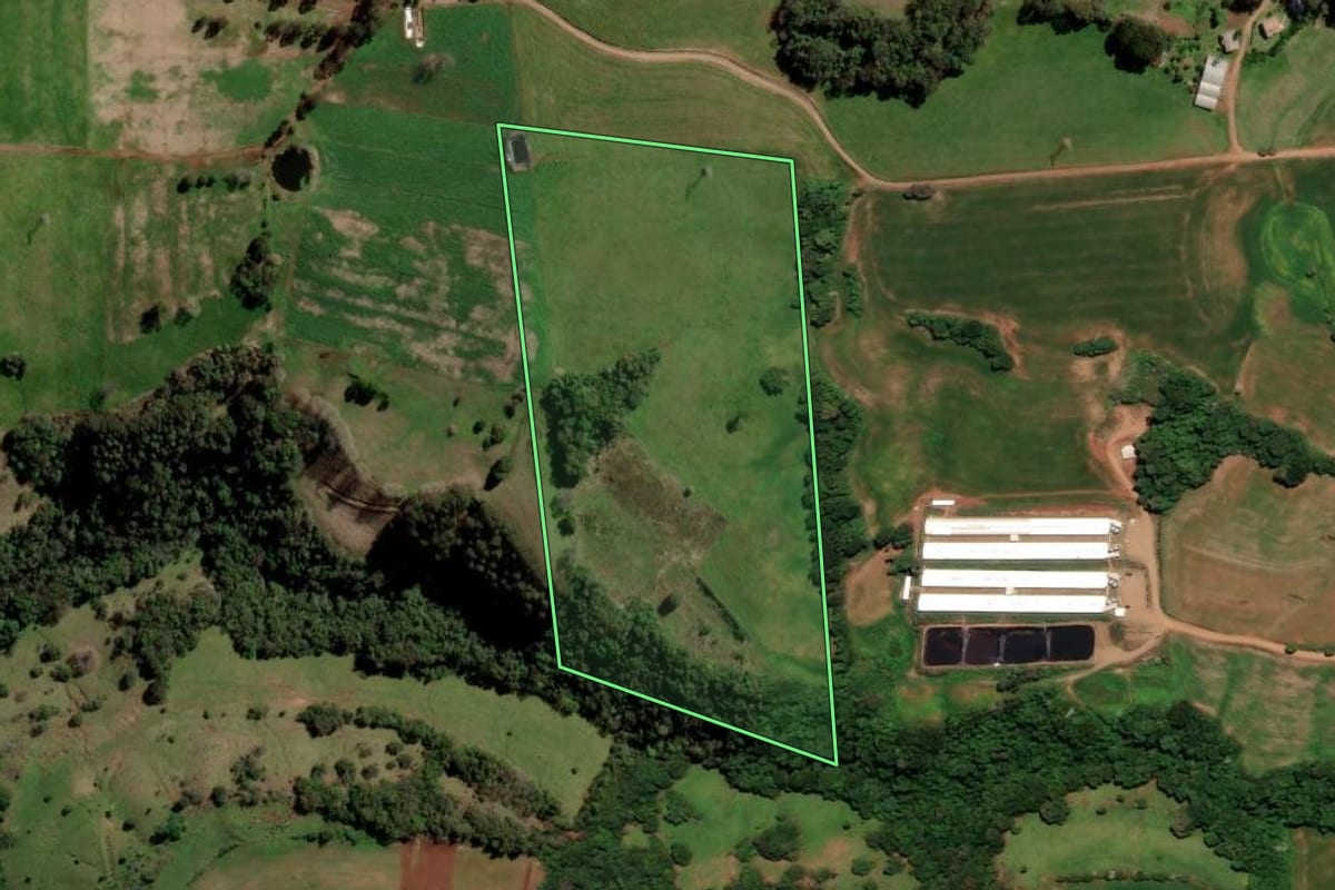 Imagem de satélite do imóvel rural em Trindade do Sul (RS), com o contorno declarado no CAR desenhado por cima.