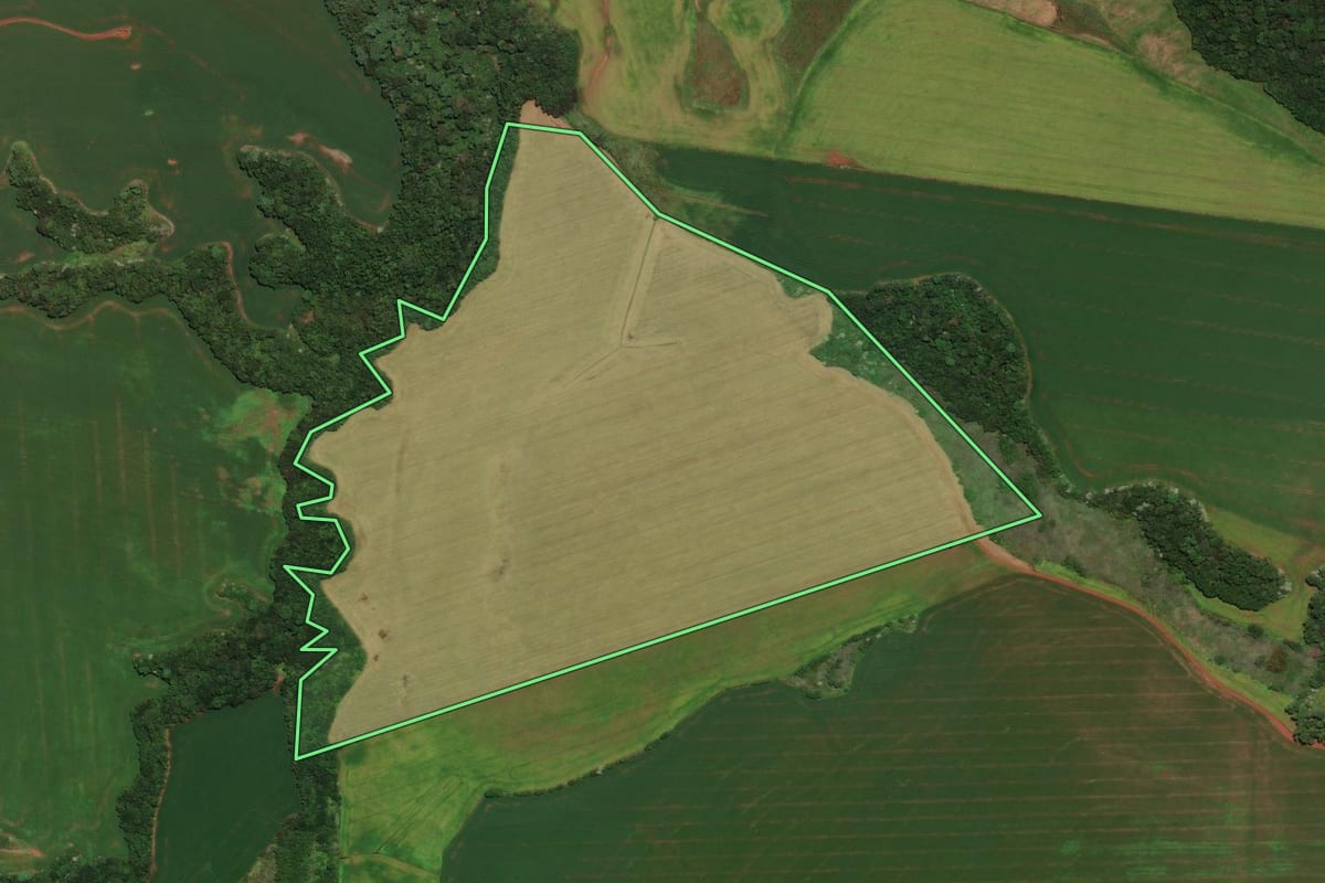 Imagem de satélite do imóvel rural em Trindade do Sul (RS), com o contorno declarado no CAR desenhado por cima.