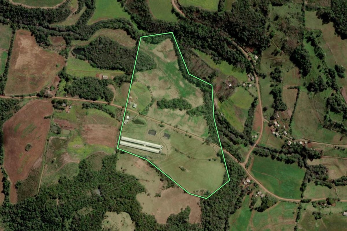 Imagem de satélite do imóvel rural em Trindade do Sul (RS), com o contorno declarado no CAR desenhado por cima.