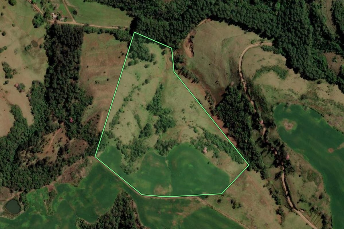 Imagem de satélite do imóvel rural em Trindade do Sul (RS), com o contorno declarado no CAR desenhado por cima.