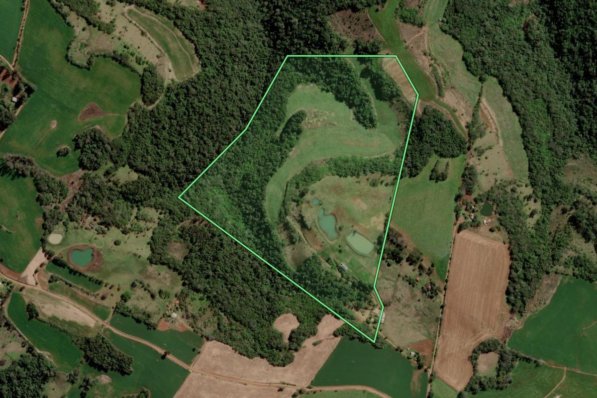 Imagem de satélite do imóvel rural em Trindade do Sul (RS), com o contorno declarado no CAR desenhado por cima.