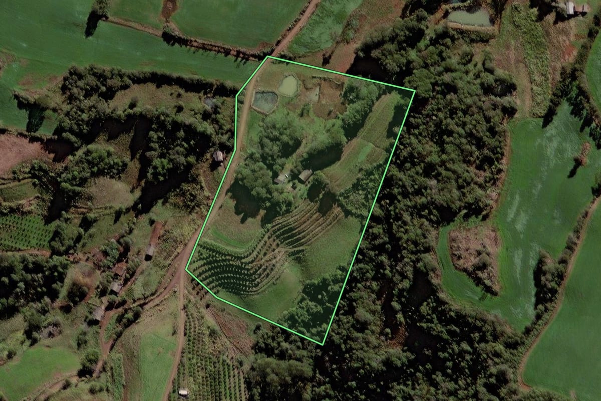 Imagem de satélite do imóvel rural em Trindade do Sul (RS), com o contorno declarado no CAR desenhado por cima.