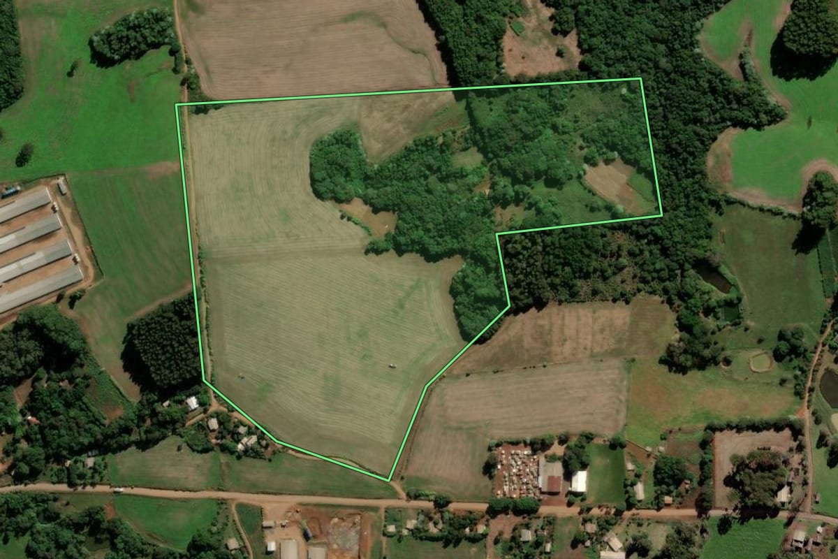 Imagem de satélite do imóvel rural em Trindade do Sul (RS), com o contorno declarado no CAR desenhado por cima.