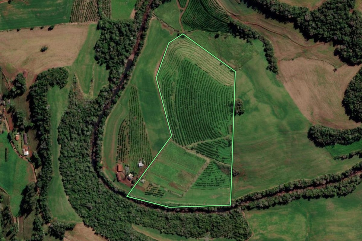 Imagem de satélite do imóvel rural em Trindade do Sul (RS), com o contorno declarado no CAR desenhado por cima.