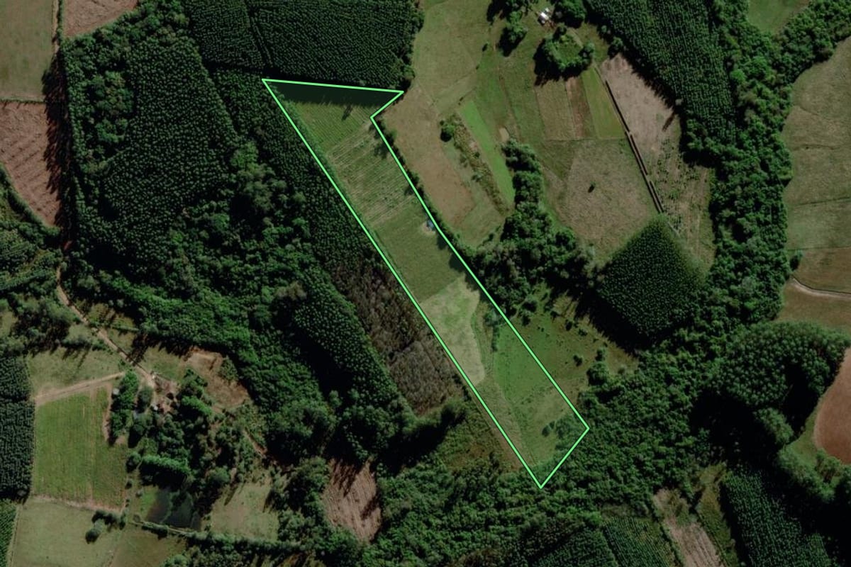 Imagem de satélite do imóvel rural em Triunfo (RS), com o contorno declarado no CAR desenhado por cima.