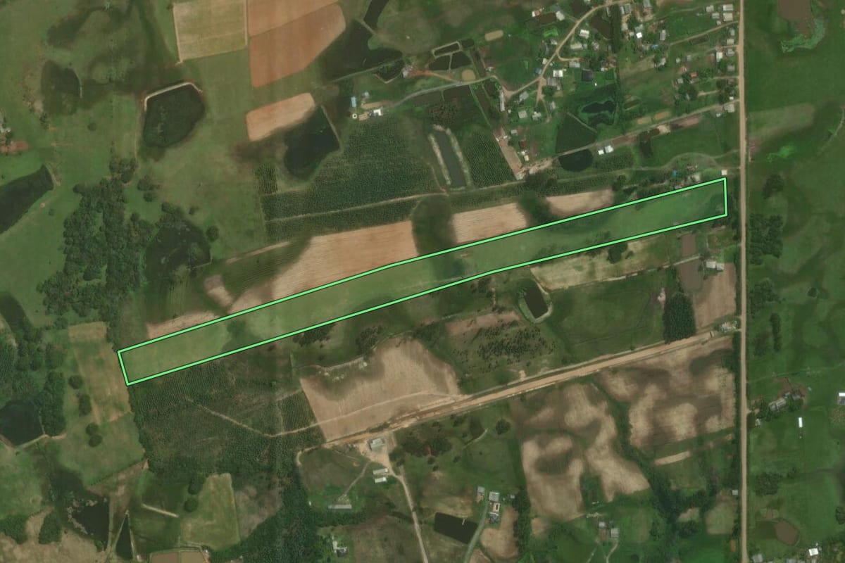 Imagem de satélite do imóvel rural em Triunfo (RS), com o contorno declarado no CAR desenhado por cima.