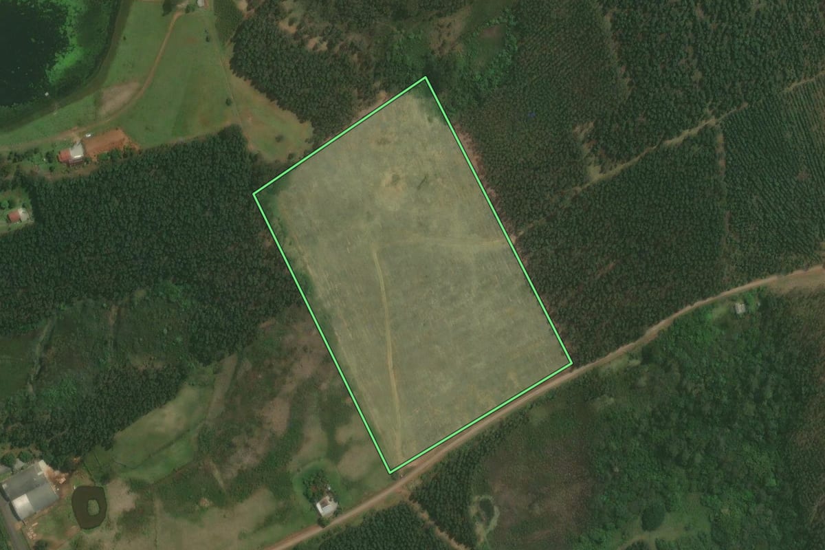 Imagem de satélite do imóvel rural em Triunfo (RS), com o contorno declarado no CAR desenhado por cima.