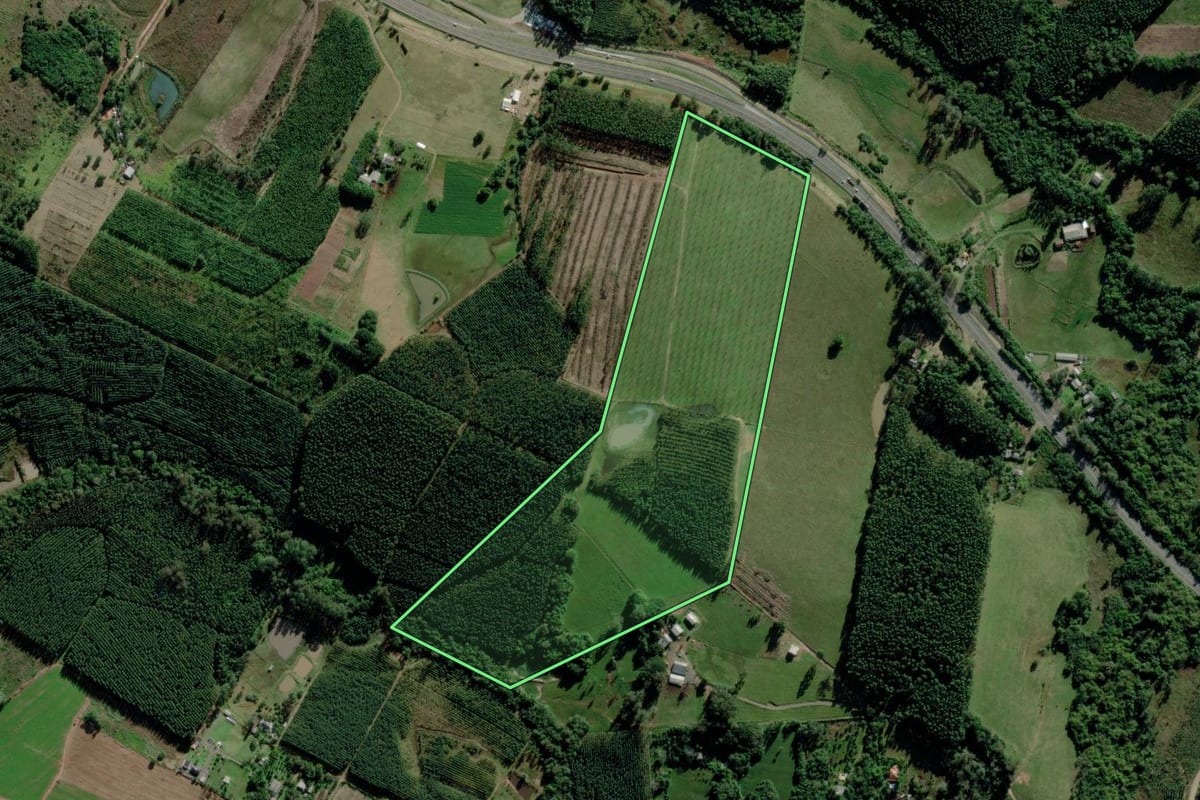 Imagem de satélite do imóvel rural em Triunfo (RS), com o contorno declarado no CAR desenhado por cima.