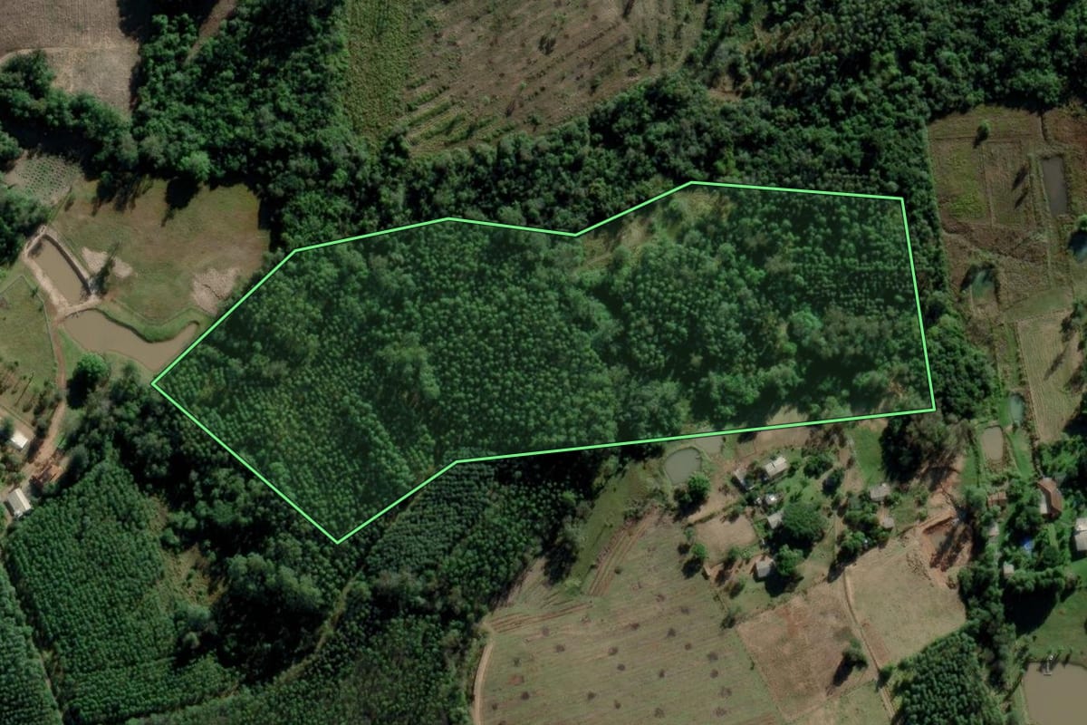 Imagem de satélite do imóvel rural em Triunfo (RS), com o contorno declarado no CAR desenhado por cima.