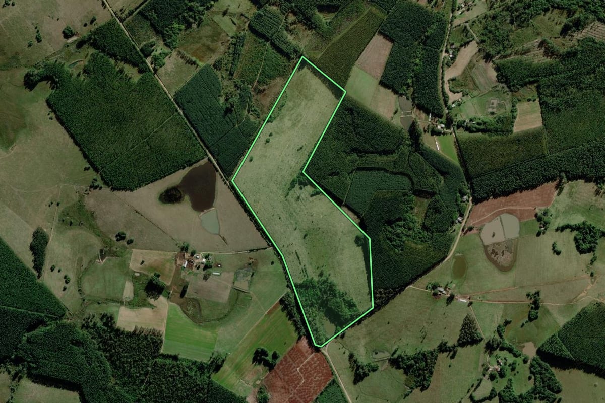 Imagem de satélite do imóvel rural em Triunfo (RS), com o contorno declarado no CAR desenhado por cima.