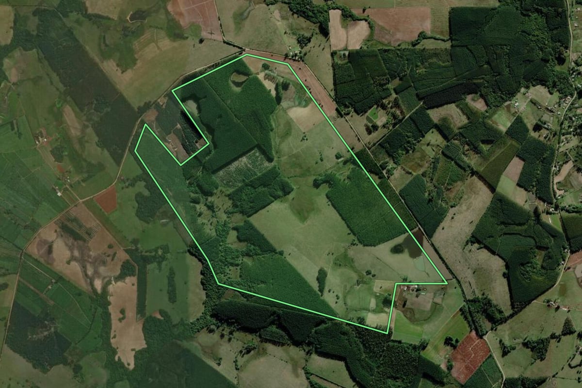 Imagem de satélite do imóvel rural em Triunfo (RS), com o contorno declarado no CAR desenhado por cima.