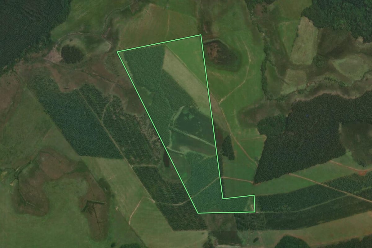 Imagem de satélite do imóvel rural em Triunfo (RS), com o contorno declarado no CAR desenhado por cima.