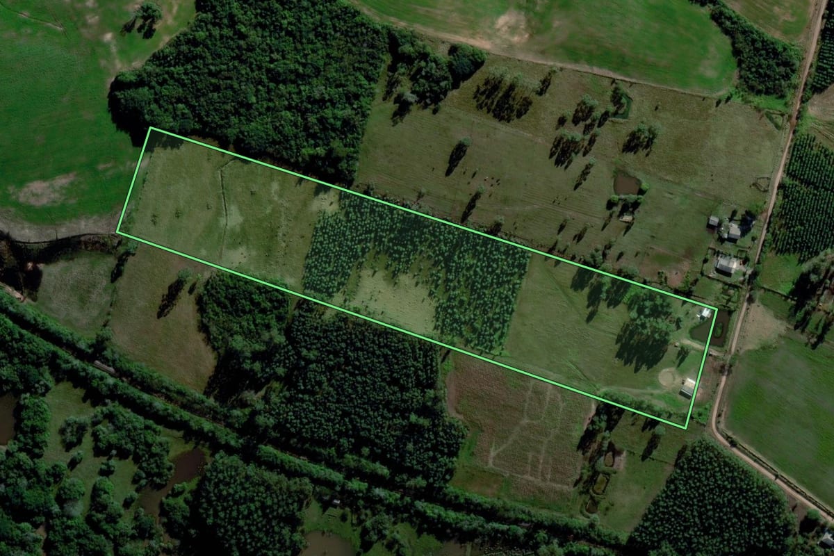 Imagem de satélite do imóvel rural em Triunfo (RS), com o contorno declarado no CAR desenhado por cima.