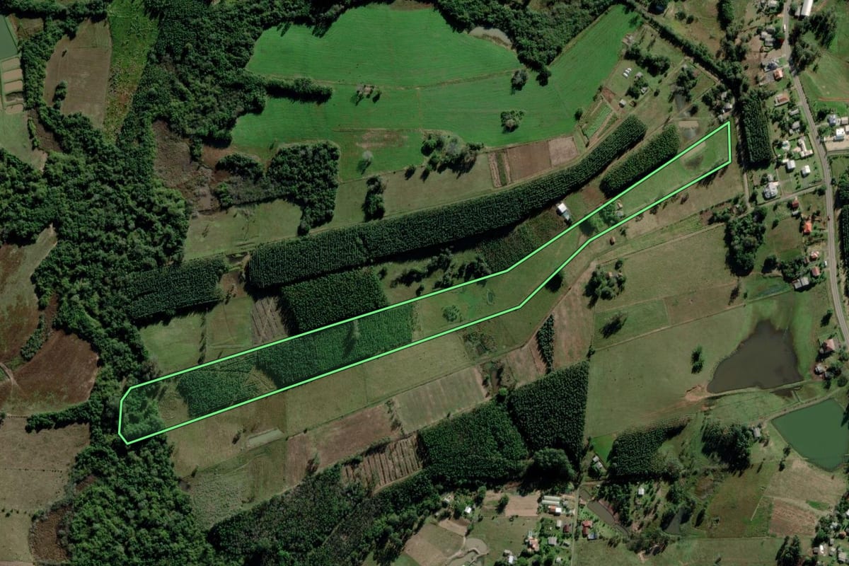 Imagem de satélite do imóvel rural em Triunfo (RS), com o contorno declarado no CAR desenhado por cima.