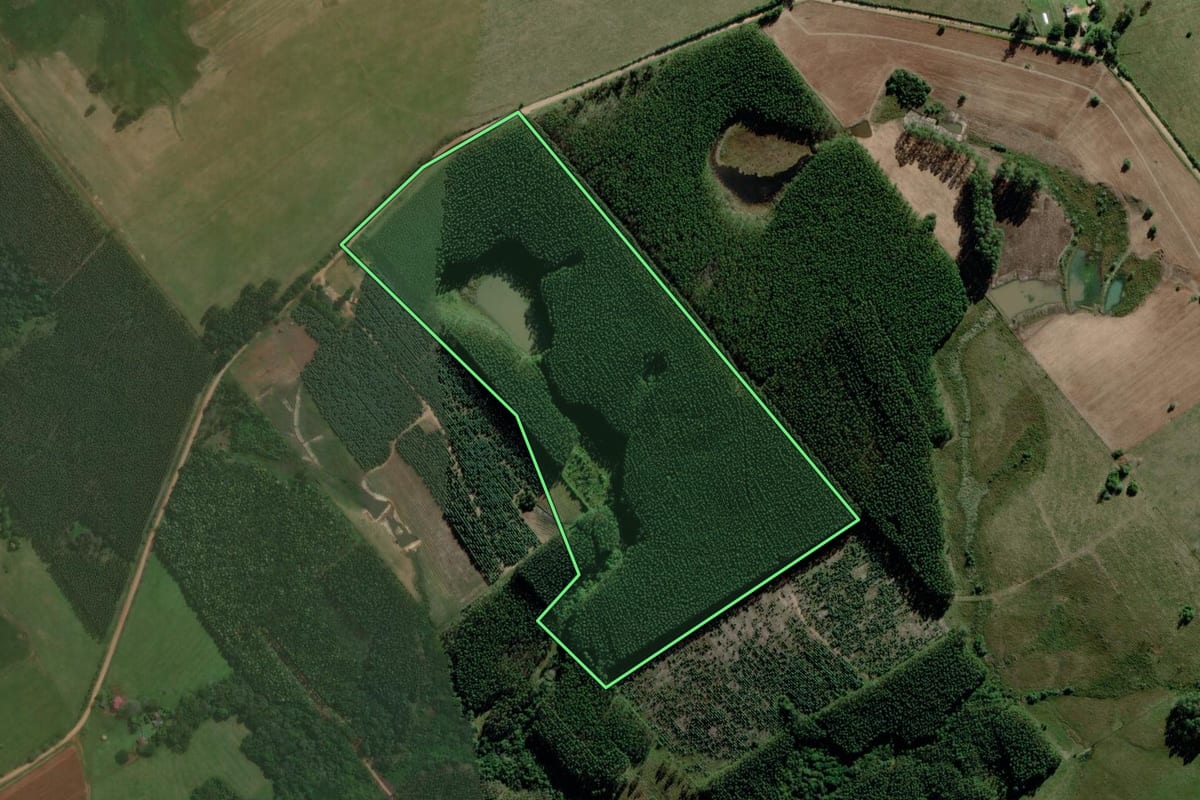 Imagem de satélite do imóvel rural em Triunfo (RS), com o contorno declarado no CAR desenhado por cima.