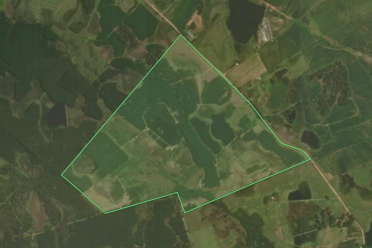 Imagem de satélite do imóvel rural em Triunfo (RS), com o contorno declarado no CAR desenhado por cima.