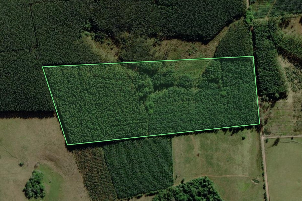 Imagem de satélite do imóvel rural em Triunfo (RS), com o contorno declarado no CAR desenhado por cima.