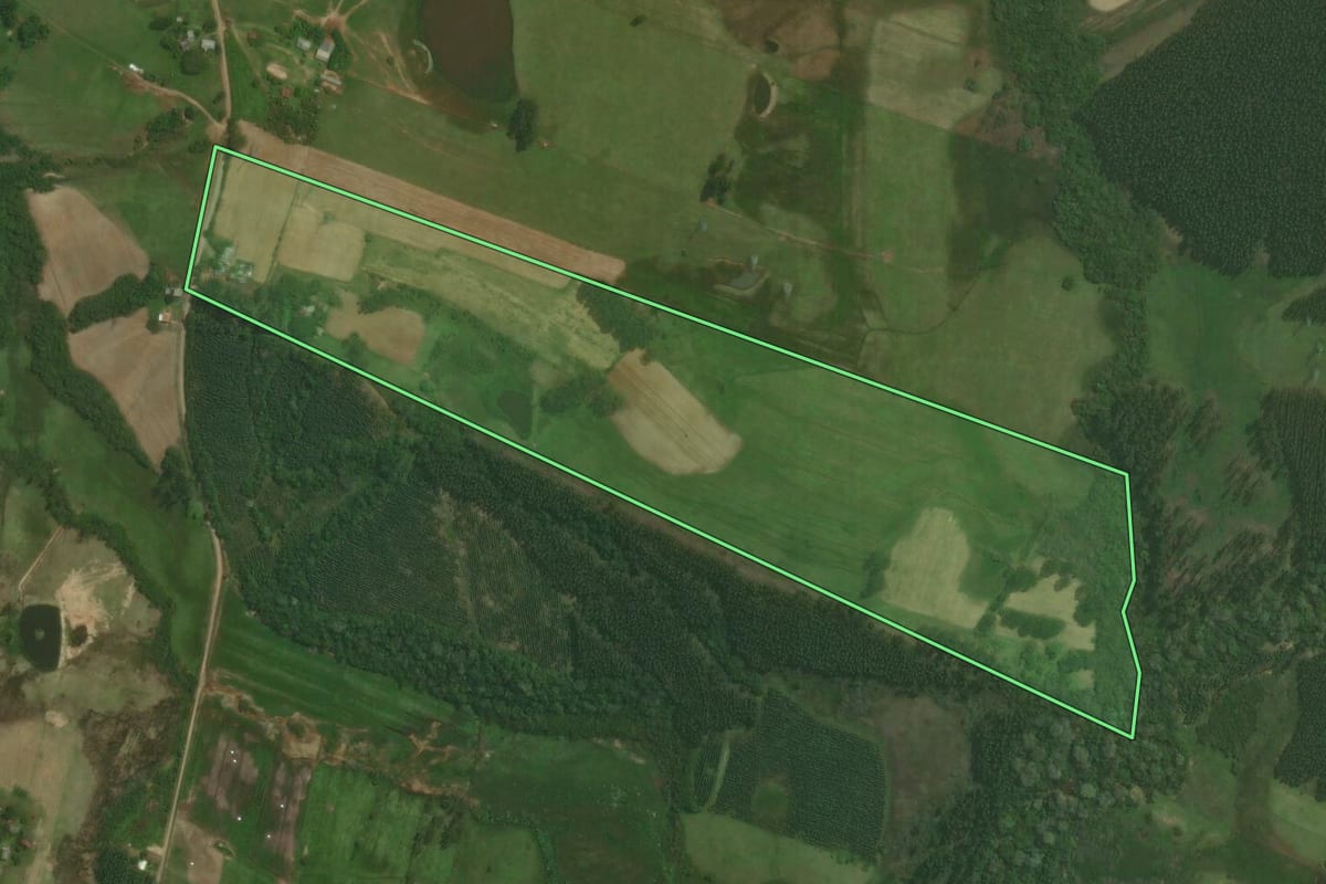 Imagem de satélite do imóvel rural em Triunfo (RS), com o contorno declarado no CAR desenhado por cima.