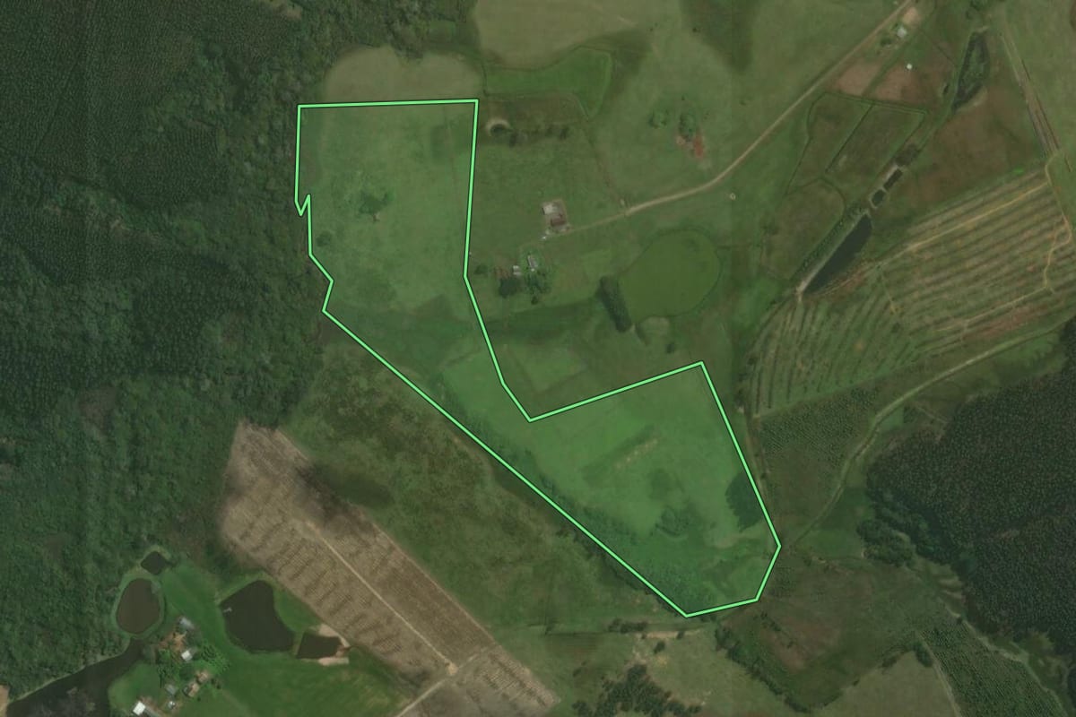 Imagem de satélite do imóvel rural em Triunfo (RS), com o contorno declarado no CAR desenhado por cima.