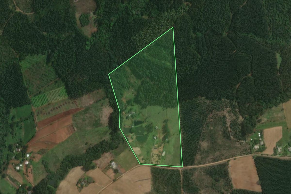 Imagem de satélite do imóvel rural em Triunfo (RS), com o contorno declarado no CAR desenhado por cima.