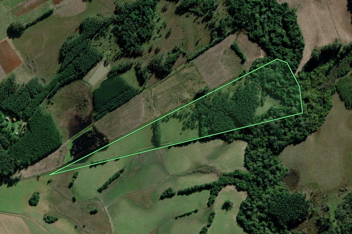 Imagem de satélite do imóvel rural em Triunfo (RS), com o contorno declarado no CAR desenhado por cima.