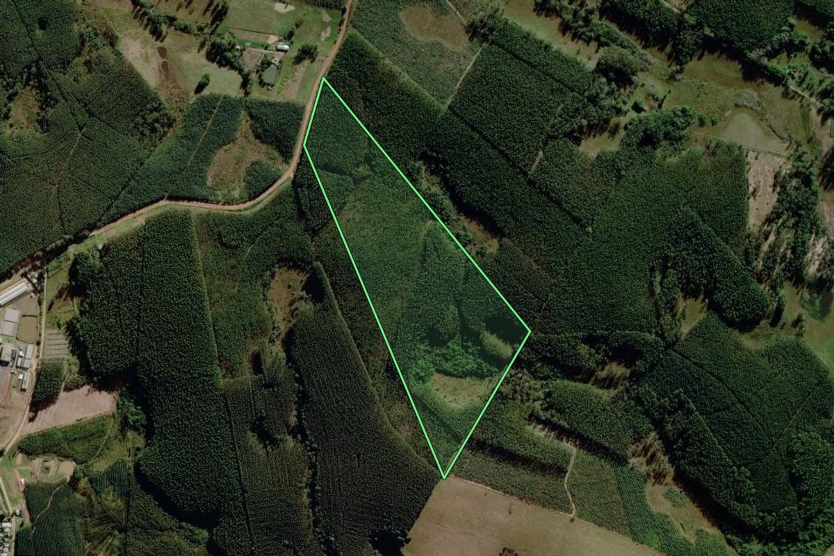 Imagem de satélite do imóvel rural em Triunfo (RS), com o contorno declarado no CAR desenhado por cima.