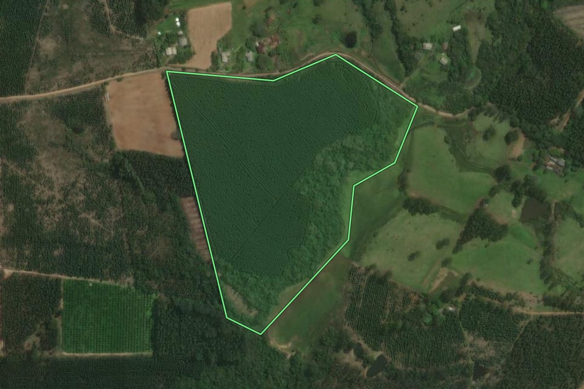 Imagem de satélite do imóvel rural em Triunfo (RS), com o contorno declarado no CAR desenhado por cima.