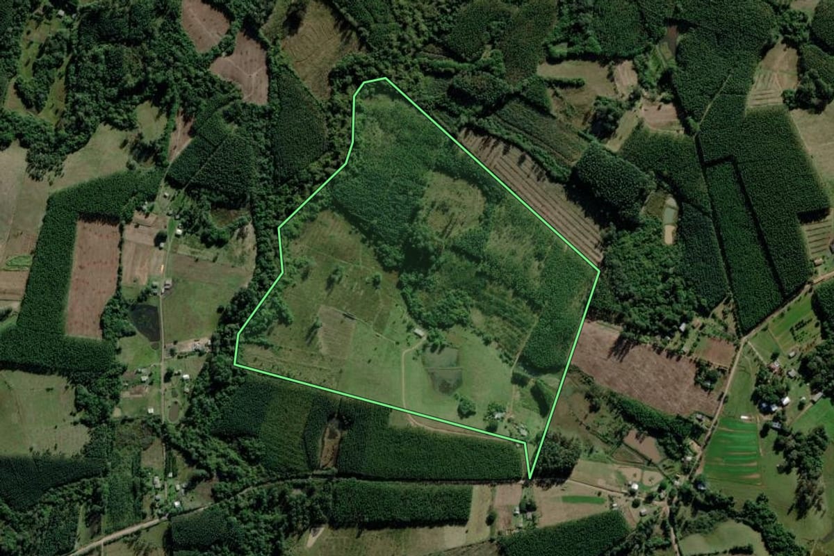 Imagem de satélite do imóvel rural em Triunfo (RS), com o contorno declarado no CAR desenhado por cima.