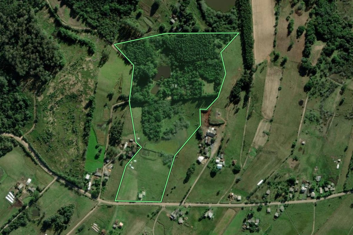 Imagem de satélite do imóvel rural em Triunfo (RS), com o contorno declarado no CAR desenhado por cima.